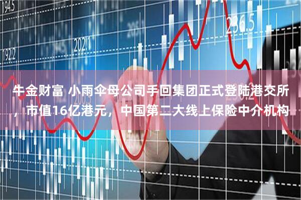 牛金财富 小雨伞母公司手回集团正式登陆港交所，市值16亿港元，中国第二大线上保险中介机构
